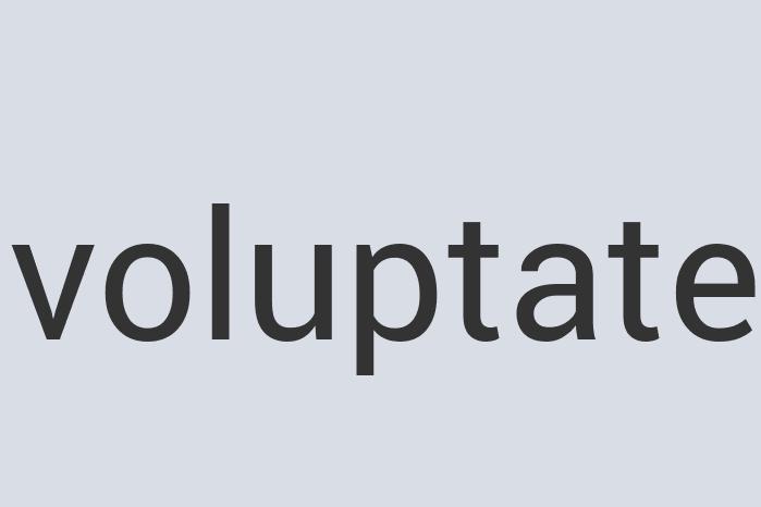 Sleek Silk Scalpel Scrupulous