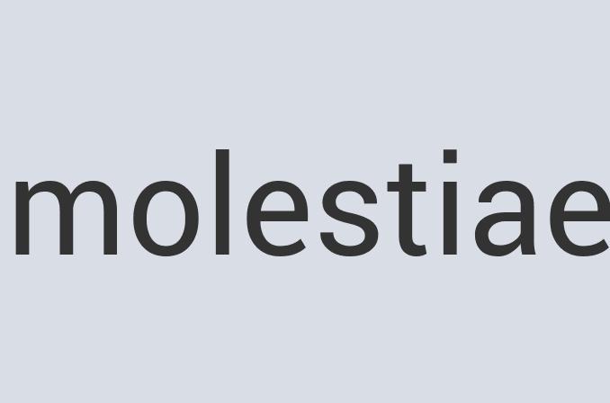 Awesome Concrete Prawn Bons