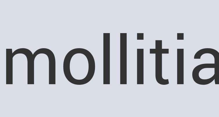 Sleek Steel eLivery Service