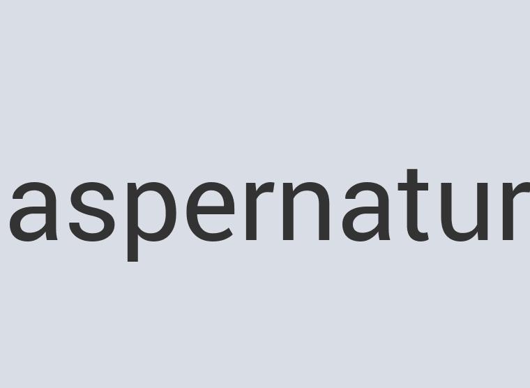 Small Leather Darwin 911