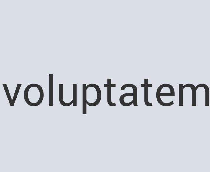 Heavy Duty Wooden GenSink